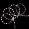 * | Hot Sale Northlight 100Ft Pure White Led Christmas Rope Lights