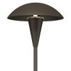 * | Best Reviews Of John Timberland 4 Pack Large Mushroom Bronze Led Landscape Path Light