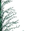 * | Cheap Northlight 6 Prelit Artificial Christmas Tree White Lighted Cascade Twig Outdoor Decoration Green Lights