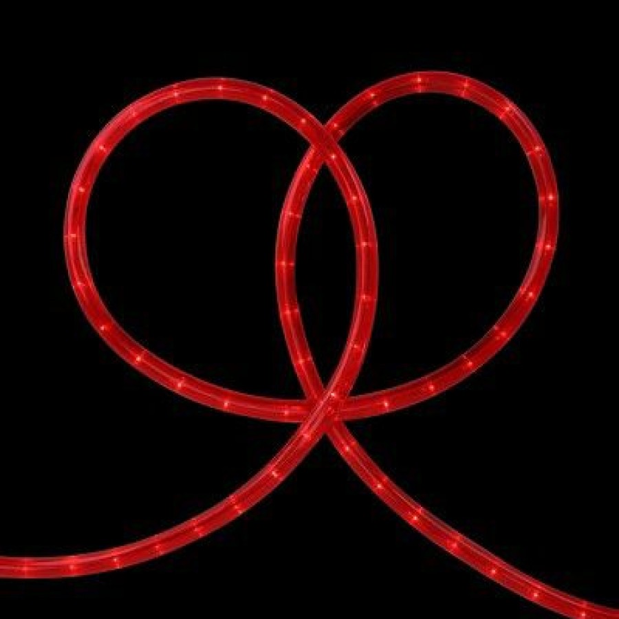 * | Buy Northlight 100 Red Incandescent Christmas Rope Lights