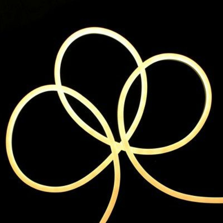 * | Best Reviews Of Northlight 50 Led Commercial Grade Flexible Christmas Rope Lights Warm White