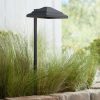 * | Best Reviews Of John Timberland Basset 23 High Textured Black Led Landscape Path Light