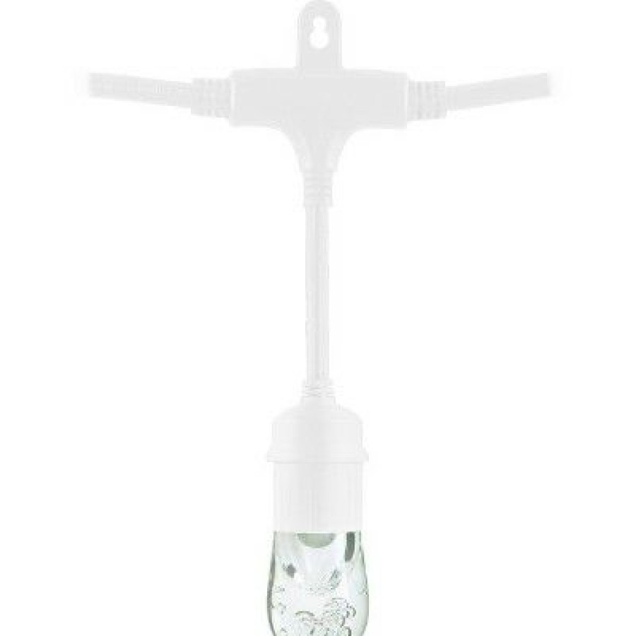 * | Cheapest 24Ct Classic Cafe Integrated Led Bulb Outdoor String Lights White White Wire Enbrighten