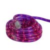 * | Buy Northlight Incandescent Flexible Outdoor Christmas Rope Lights Clear 18 Purple