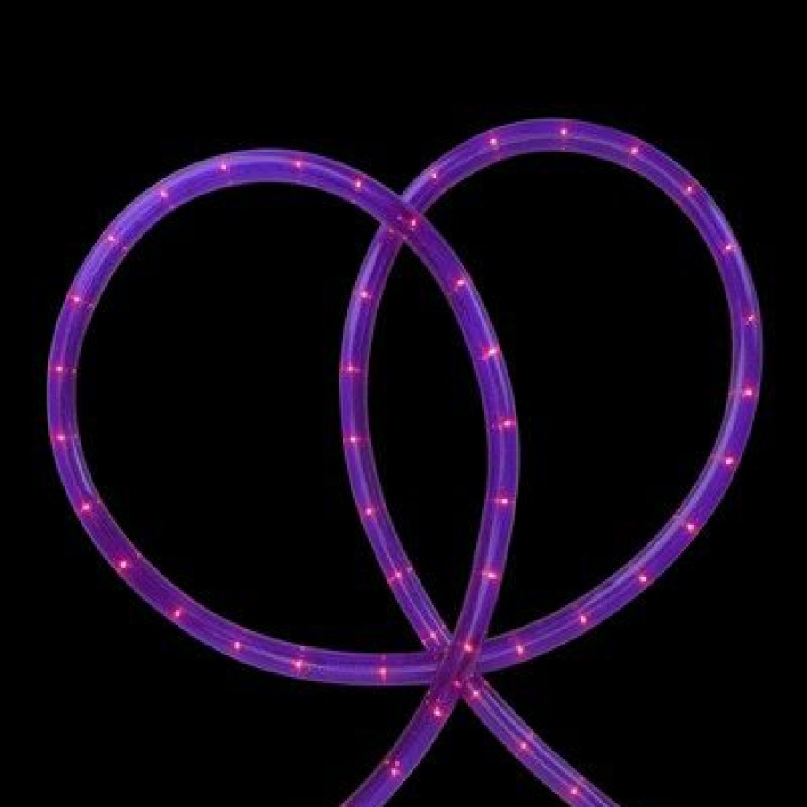 * | Buy Northlight Incandescent Flexible Outdoor Christmas Rope Lights Clear 18 Purple