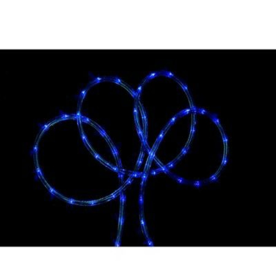 * | Hot Sale Northlight 100 Blue Christmas Rope Lights