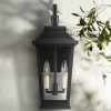 * | Budget Feiss Warren 19 1/2 High Black 2-Light Outdoor Wall Light